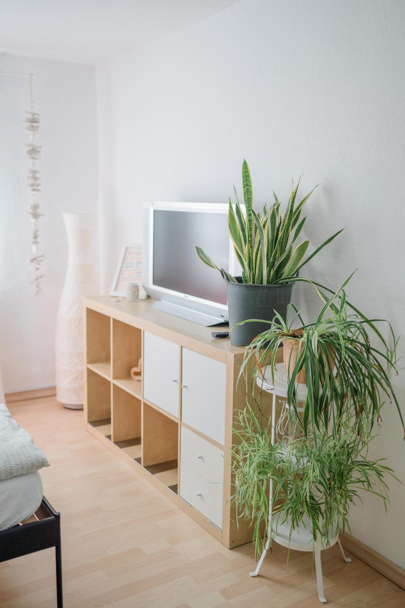 Buchlindenweg - Zimmer & Ferienwohnung Breitscheid  Kültér fotó